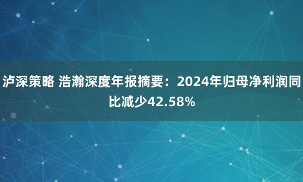 泸深策略 浩瀚深度年报摘要：2024年归母净利润同比减少42.58%
