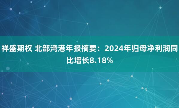 祥盛期权 北部湾港年报摘要：2024年归母净利润同比增长8.18%