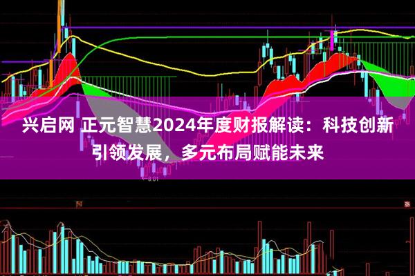 兴启网 正元智慧2024年度财报解读：科技创新引领发展，多元布局赋能未来