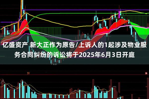 亿盛资产 新大正作为原告/上诉人的1起涉及物业服务合同纠纷的诉讼将于2025年6月3日开庭