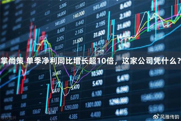 掌尚策 单季净利同比增长超10倍，这家公司凭什么？