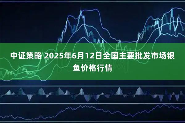 中证策略 2025年6月12日全国主要批发市场银鱼价格行情