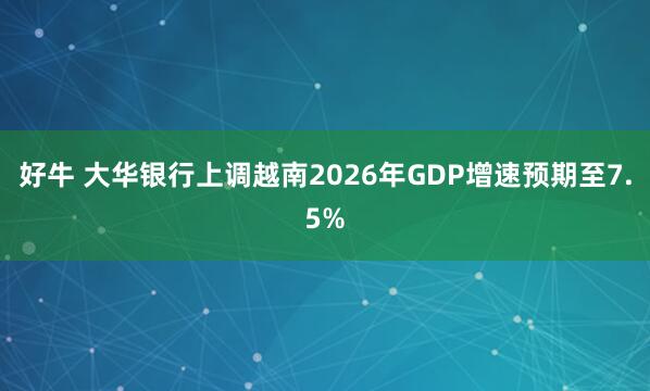 好牛 大华银行上调越南2026年GDP增速预期至7.5%