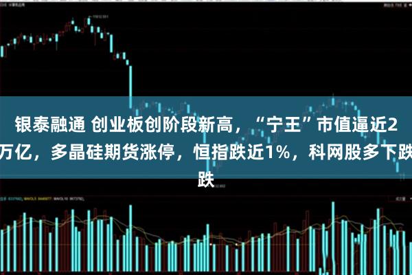银泰融通 创业板创阶段新高，“宁王”市值逼近2万亿，多晶硅期货涨停，恒指跌近1%，科网股多下跌